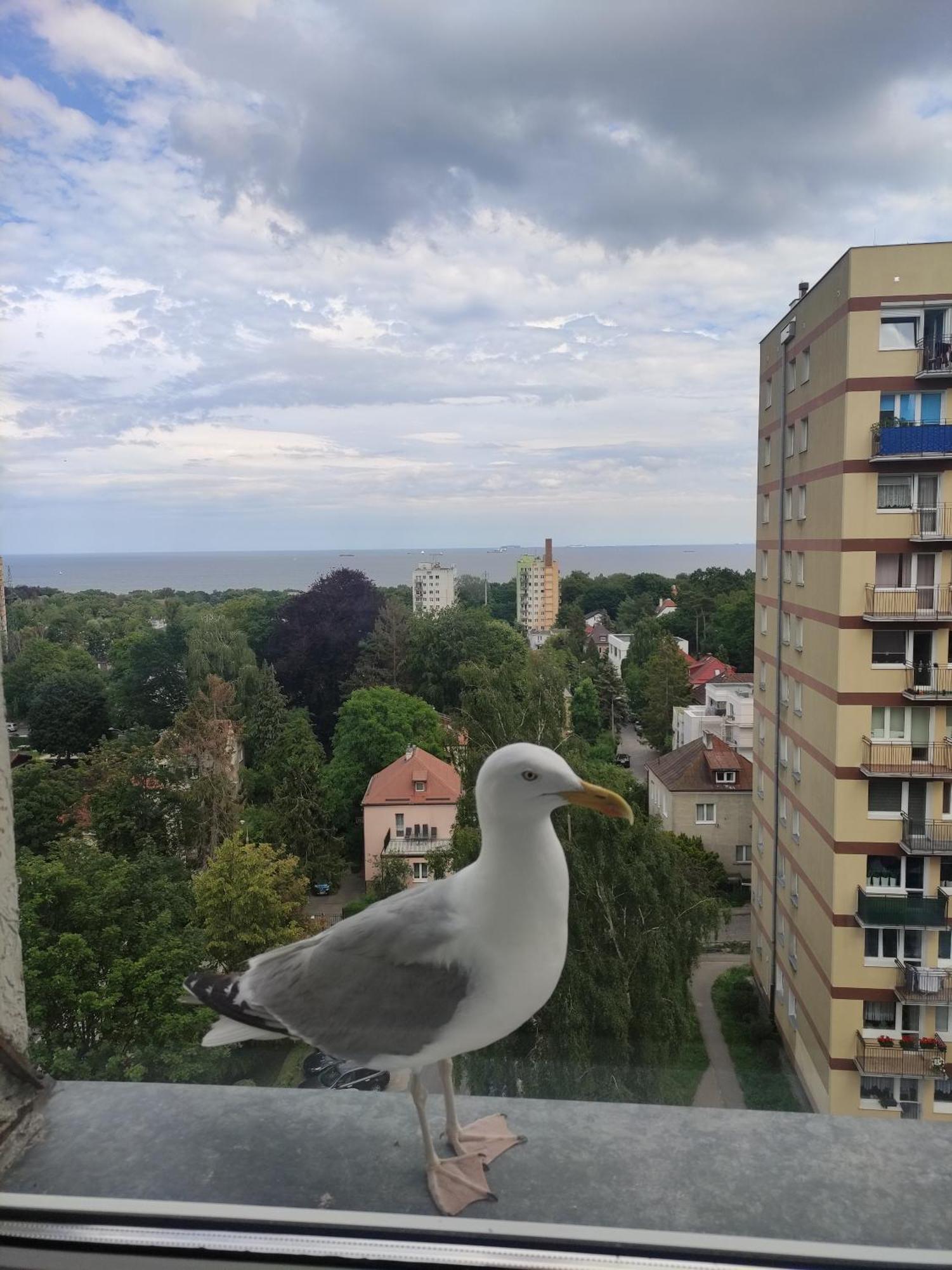 Appartamento Apartament Widokowo Sopot Esterno foto